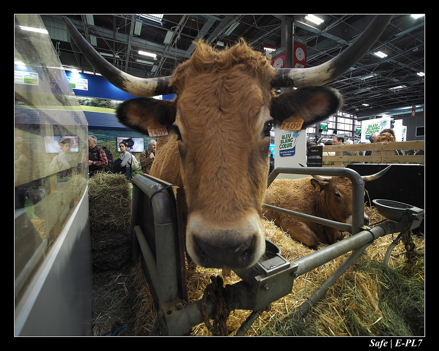 2020 - 02 - Salon agriculture 51